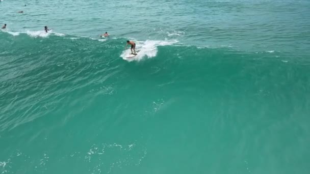 April 2022 Brasilien Florianopolis Paddla Surfare Blå Transparent Ocean Rida — Stockvideo