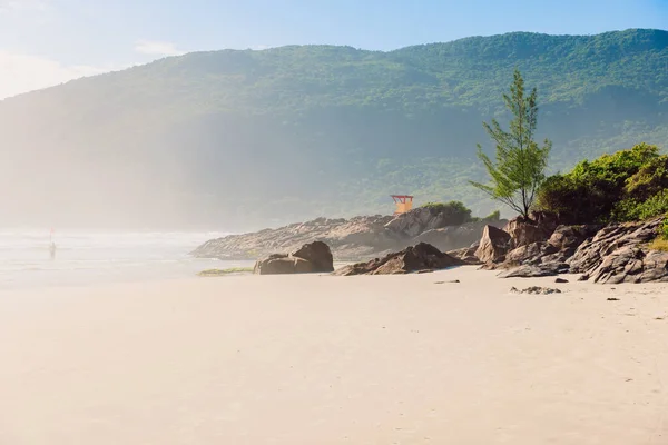 Plaża Kamieniami Oceanem Mgłą Słoneczny Dzień Niesamowity Świąteczny Baner — Zdjęcie stockowe