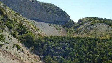 Uçurumlu ve ağaçlı kanyonlu kıyı şeridi manzarası