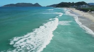 Brezilya 'da okyanus dalgaları olan bir sahil. Florianopolis, Campeche plajının hava manzarası.