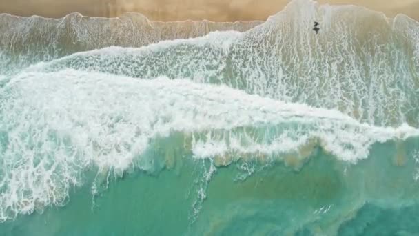 Plage Tropicale Avec Océan Transparent Vagues Surfeur Vue Aérienne Vue — Video