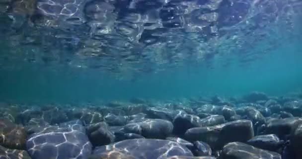 在有海底 波浪和透明水的蓝色海洋中的水下 — 图库视频影像