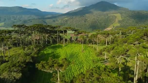 Vista Aérea Una Zona Rural Con Montañas Campo Santa Catarina — Vídeo de stock