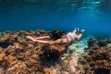 Özgür kadın tropikal okyanusta mercan resiflerinin üzerinde yüzgeçleriyle süzülüyor..