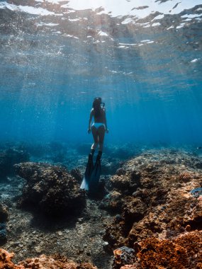 Oahu Adası 'nda okyanus altında serbest dalış yüzgeçleri olan bir kadın.