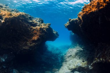 Mavi okyanusta resifli ya da kayalıklı sualtı sahnesi