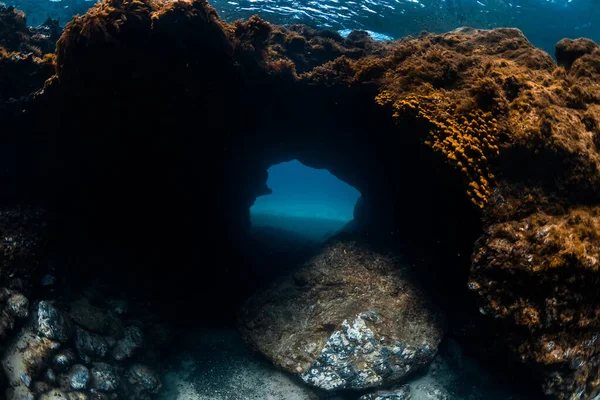 Cueva Submarina Bajo Arrecife Con Corales Océano Azul — Foto de Stock