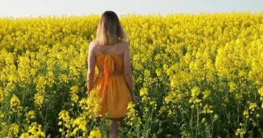 Tecavüz tarlasında yürüyen bir kadın. Sarı çiçekler ve mutlu bir kadın