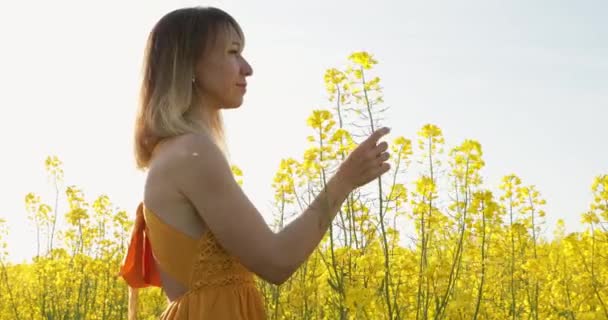 Atraktivní Žena Řepkovém Poli Západem Slunce Žluté Květy Šťastná Běloška — Stock video