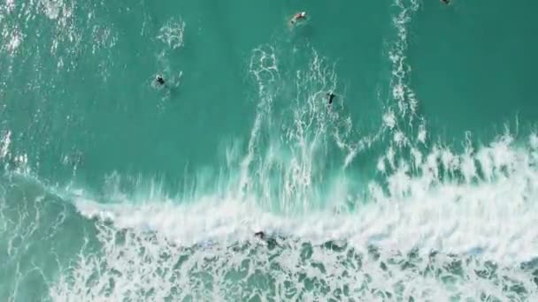 Surfare Transparent Turkos Hav Och Vågor Flygbild — Stockvideo