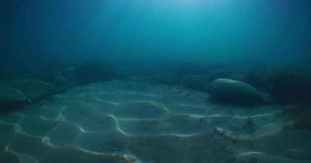 Blauwe Oceaan Met Bodem Stralen Transparant Water Onder Water — Stockvideo