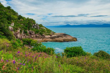 Brezilya 'da bitkiler ve turkuaz okyanusla tropikal kıyı şeridi.