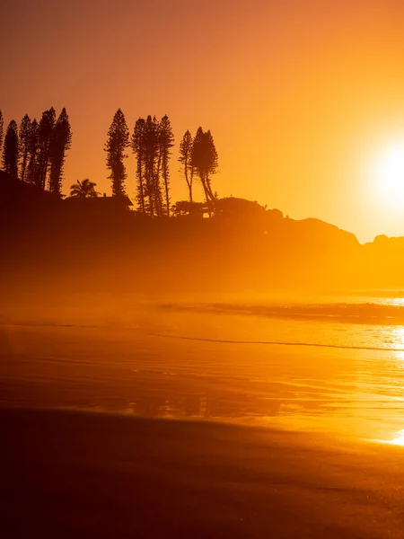 Sunrise Coastline Trees Joaquina Beach Brazil — Stock Photo, Image