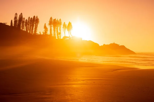 Sunrise Ocean Coastline Waves Rocks Trees Joaquina Beach Brazil — Stock Photo, Image