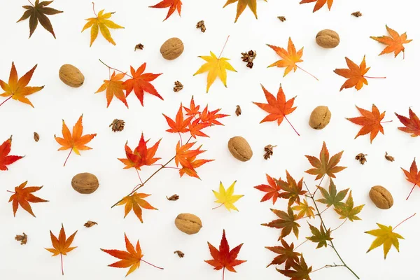 Autumnal Pattern Fall Leaves Walnut Nuts White Background Flat Lay — Stock Photo, Image