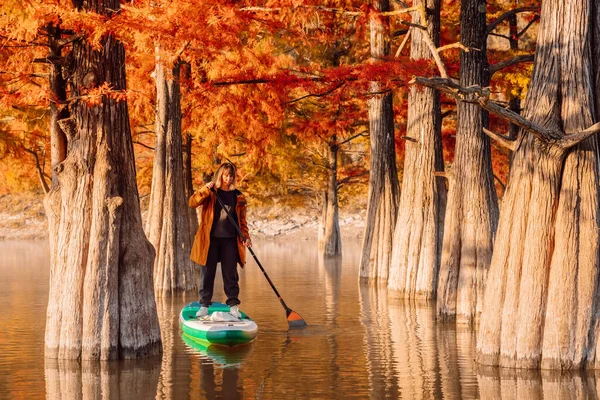 Adventure Stand Paddle Board Woman River Taxodium Trees Autumnal Season — стоковое фото