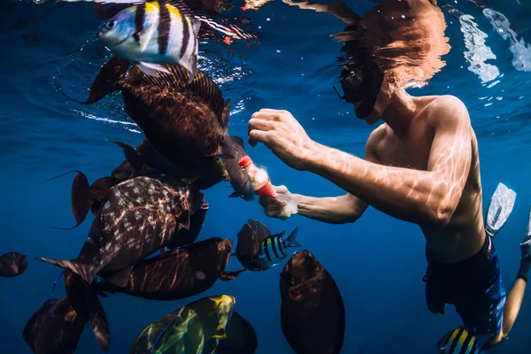 Freediver Man Food Bottle Feeds School Fish Ocean — Fotografia de Stock