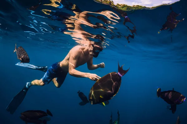 Freediver Fins Mask Swim School Big Fish Ocean — Fotografia de Stock