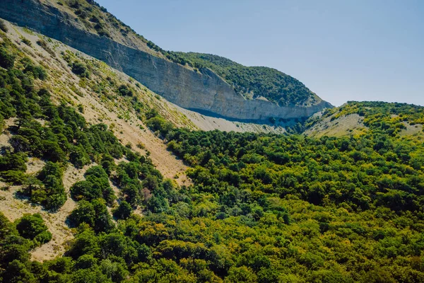 Aerial Drone View Canyon Cliffs Trees Greece — стокове фото