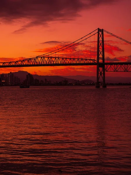 Hercilio Luz Cable Bridge Bright Sunset Reflection Water Florianopolis — Foto de Stock