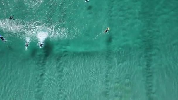 Surfers Transparent Turquoise Ocean Perfect Waves Aerial View — Vídeos de Stock