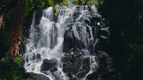 Cachoeira Turística Popular Com Plantas Tropicais Urubici Brasil — Vídeo de Stock