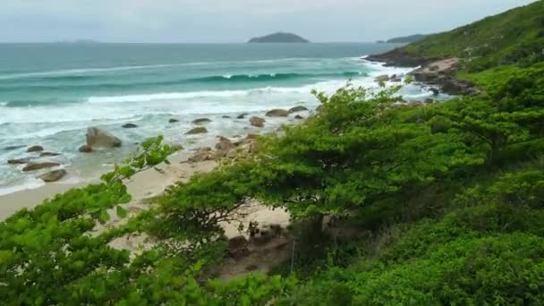 Coastline Beach Ocean Surfing Waves Brazil Aerial View — ストック動画