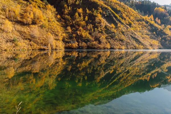 Mountain Lake Reflection Surface Autumnal Trees Mountains — Stockfoto