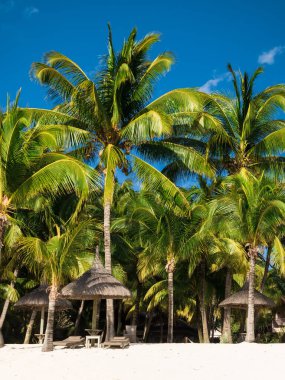 Beautiful view of tropical resort. White sand, umbrella, coconut palms and blue sky