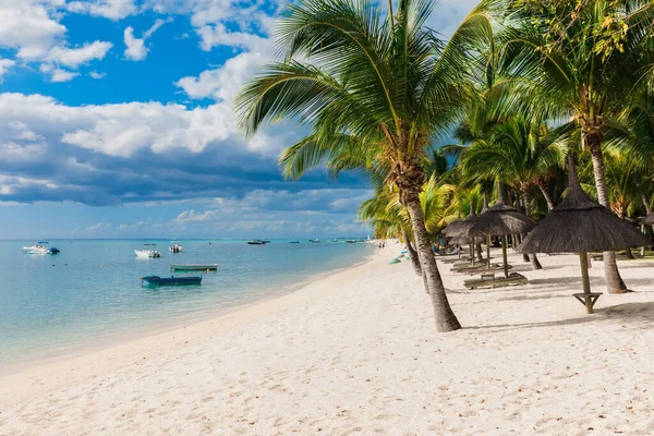 Beautiful View Tropical Beach Mauritius Transparent Ocean Beach Coconut Palms — Foto de Stock