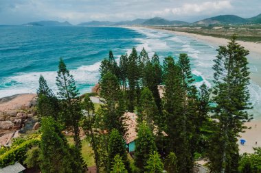 Joaquina Beach with trees and blue ocean with waves in Brazil. Aerial view