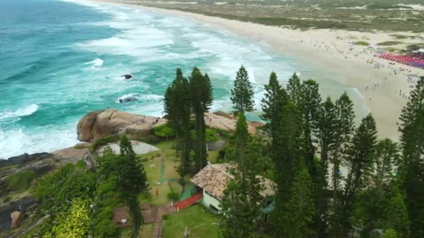 Joaquina Beach Trees Blue Ocean Waves Brazil Aerial View — Vídeo de Stock