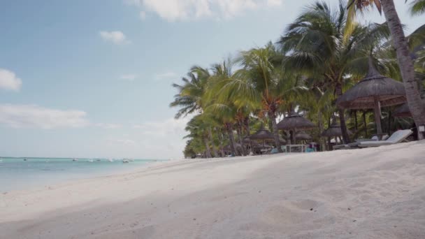 Tropischer Strand Mit Kokospalmen Und Sonnenschirmen Auf Luxusinsel — Stockvideo