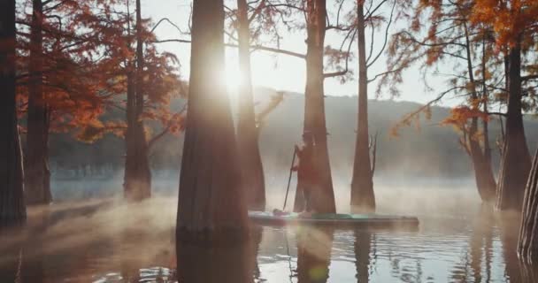 Outubro 2021 Charleston Estados Unidos Mulher Flutuando Stand Paddle Board — Vídeo de Stock