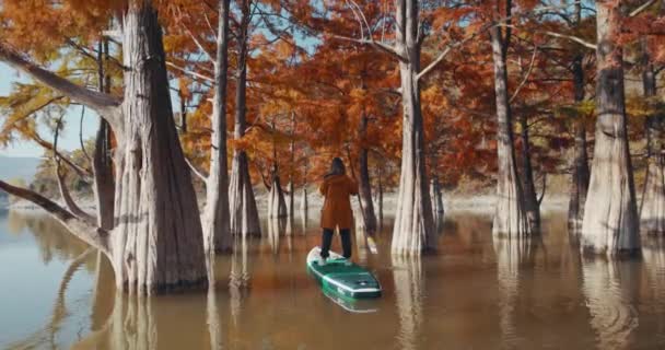 Octubre 2021 Charleston Estados Unidos Mujer Flotando Stand Paddle Board — Vídeo de stock