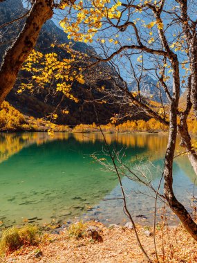 Dağ gölü, şeffaf su, güneş ışığı ve sonbahar ağaçları. Dağlar ve göl