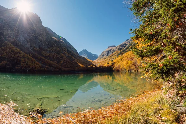 Horské Jezero Průzračnou Vodou Slunečním Světlem Barevnými Podzimními Stromy Hory — Stock fotografie