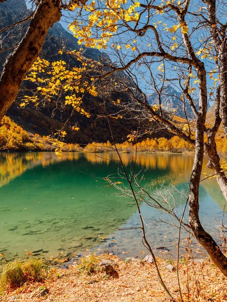 Horské Jezero Průzračnou Vodou Slunečním Světlem Podzimními Stromy Hory Jezero — Stock fotografie