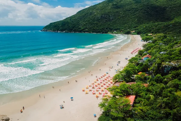 Playa Matadeiro Con Sombrillas Océano Con Olas Santa Catarina Vista — Foto de Stock
