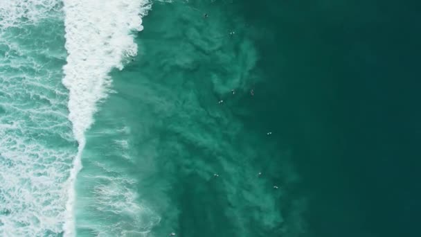 Surfers Line Τυρκουάζ Ωκεανό Και Τέλεια Κύματα Αεροφωτογραφία Κορυφαία Προβολή — Αρχείο Βίντεο