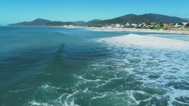 Ondas Oceânicas Com Praia Brasil Vista Aérea Praia Campeche Florianópolis — Vídeo de Stock