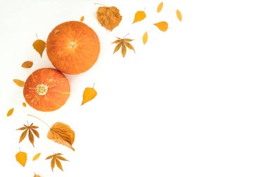 Sonbahar çerçeve kompozisyonu turuncu yapraklar ve beyaz arka planda balkabakları. Şükran Günü konsepti. Düz yatıyordu