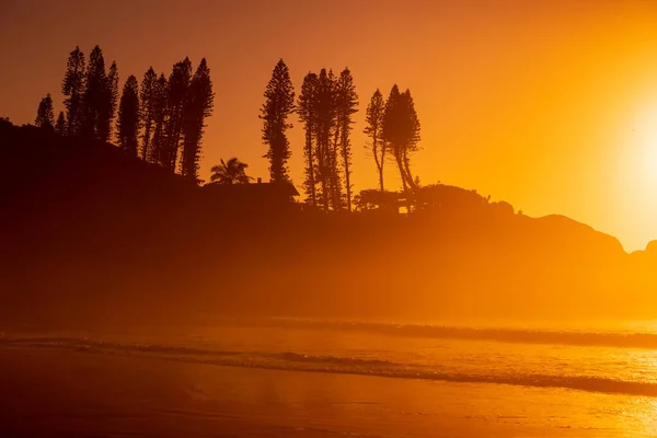 Sunrise Ocean Beach Waves Rocks Trees Joaquina Beach Brazil — Stock Photo, Image