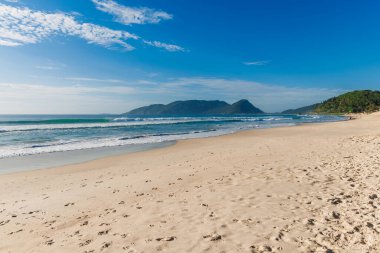 Morro das Pedras plajı ve dalgalı mavi okyanus. Brezilya, Florianopolis