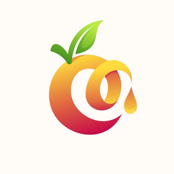 Icono Fruta Naranja Logo Zumo Naranja — Vector de stock