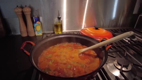 Sup Tomat Mendidih Dalam Panci Diaduk Dengan Sendok Sup Panas — Stok Video