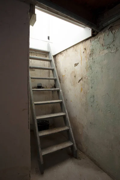 Escaleras Madera Bodega Que Conducen Piedra Ladrillo Nivel Inferior Sótano — Foto de Stock