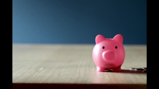 Piggy Bank Saving Business Standing Pile Coins Concept Hand Putting Royalty Free Stock Footage