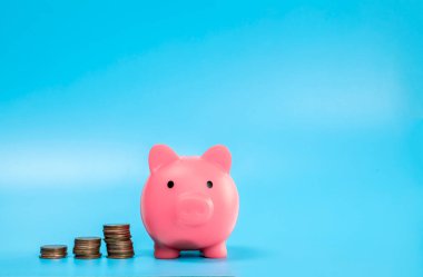 Pembe Piggy Bank, yığınla madeni para, büyüme ve tasarruf konsepti fotokopi alanı ile iş ve finans. Metin için boşluk