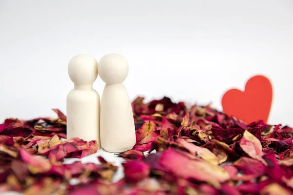 Una Pareja Romántica Enamorada Pie Sobre Pétalos Rosa Aislados Espacio —  Fotos de Stock